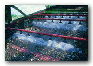 Quelle: CCC - K�ln